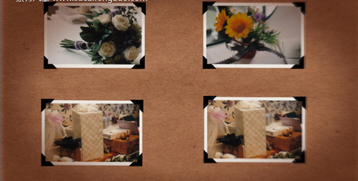 国外AE片头模板