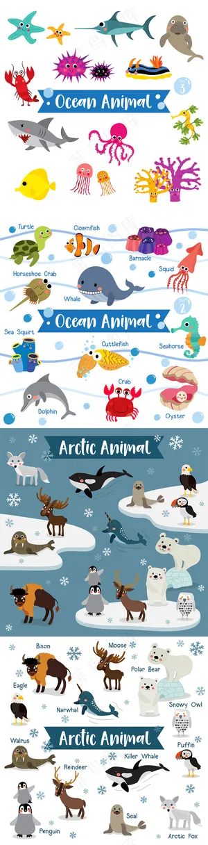 手绘卡通扁平化海洋动物