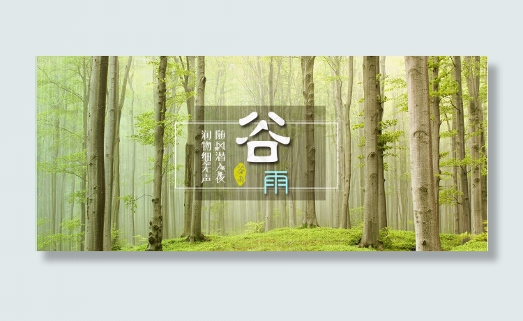 谷雨(778X466(DPI:72))psd模版下载