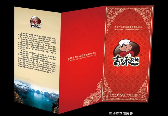 企业宣传三折页图片