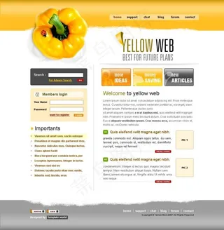 黄色简洁风格网页psd模板