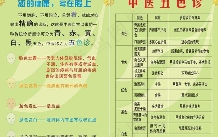 中医五色珍 中医 美容 养身图片cdr矢量模版下载