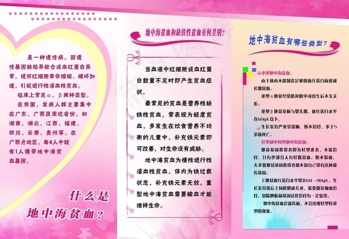 地中海贫血折页图片