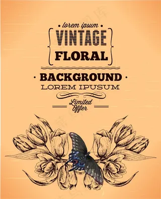 随着春天的花朵和蝴蝶复古插画矢量