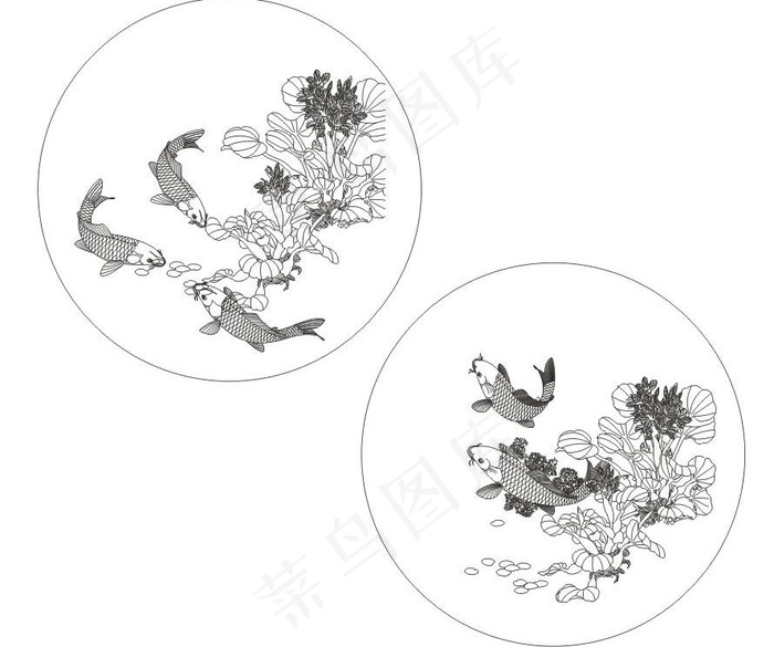 荷花戏鲤鱼图片