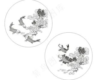 荷花戏鲤鱼图片