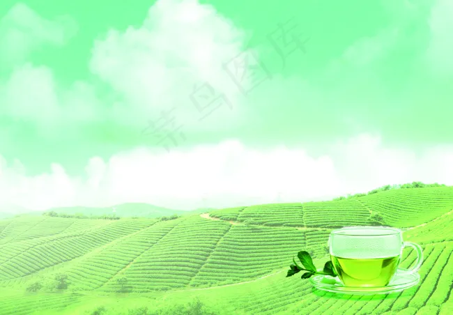 茶cdr矢量模版下载