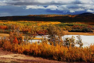 自然景观 秋天图片