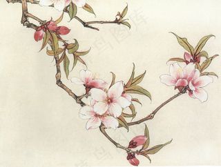工笔画桃花