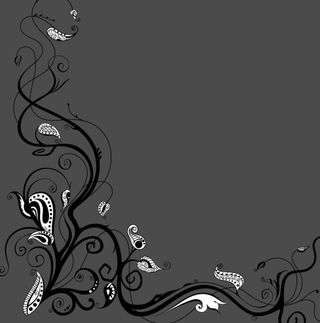 生长的花藤AE图形源文件