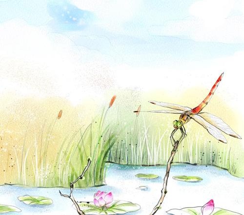 手绘小池塘图片