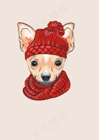 戴帽子和围巾的狗仔