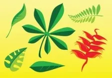 免费的植物图片eps,ai矢量模版下载