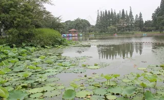 昆山亭林公园风景画图片