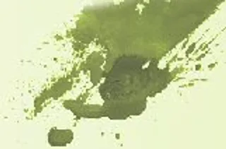 网络技术个人博客网页首页模版