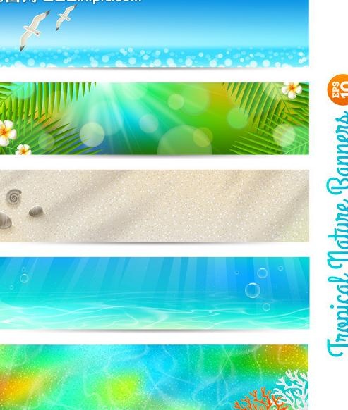 夏天横幅banner图片eps,ai矢量模版下载