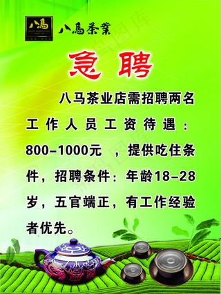 八马茶业招聘