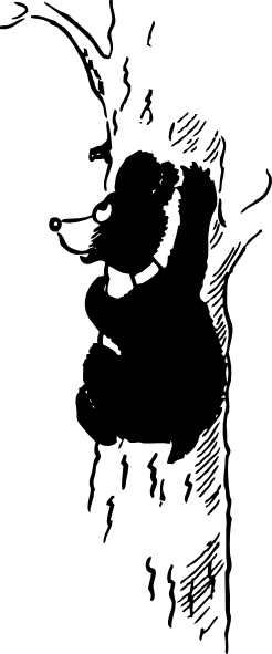 卡通熊爬上树，剪贴画