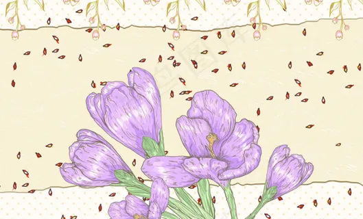花朵背景墙
