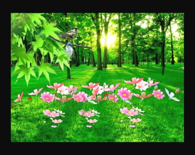 桃花树背景视频素材素材下载