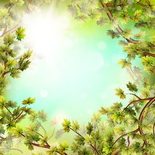 自然风景背景图