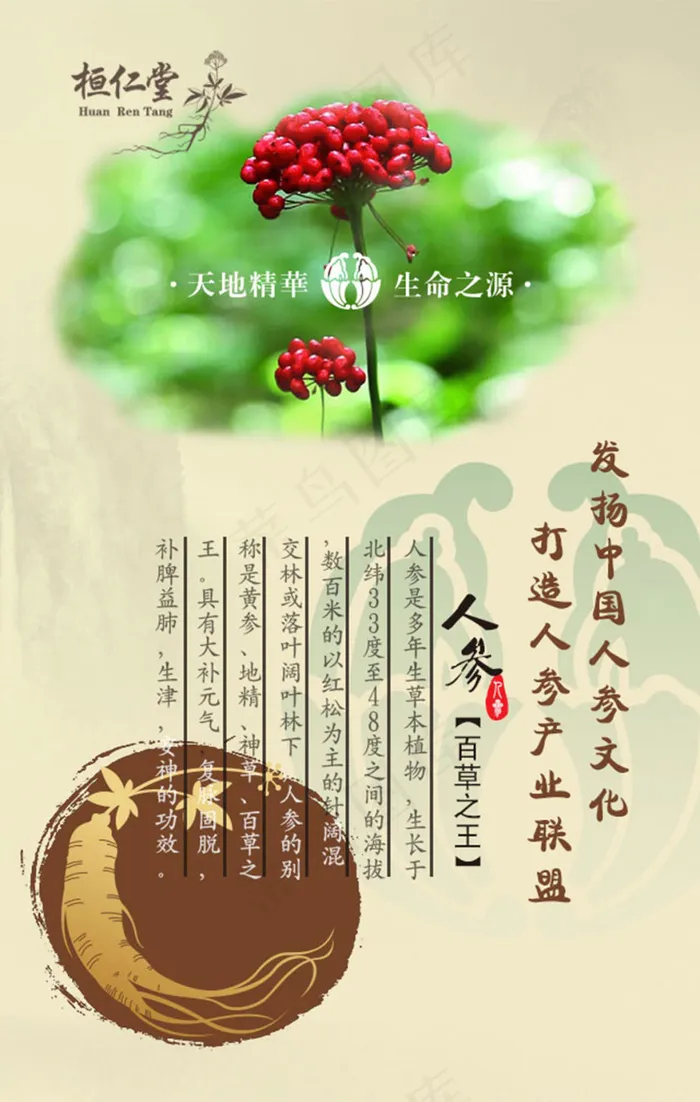 人参海报psd模版下载
