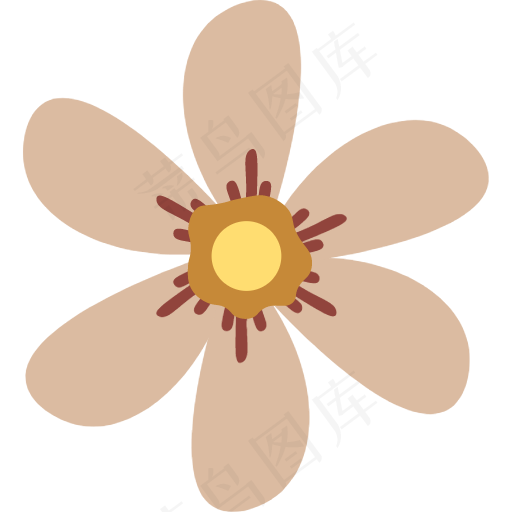 开花 花 (1)