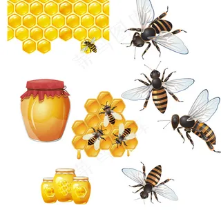 蜜蜂和蜂蜜