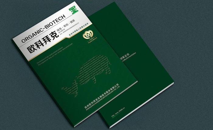 杂志内刊图片cdr矢量模版下载
