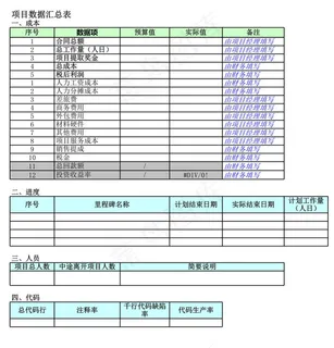 项目数据汇总表