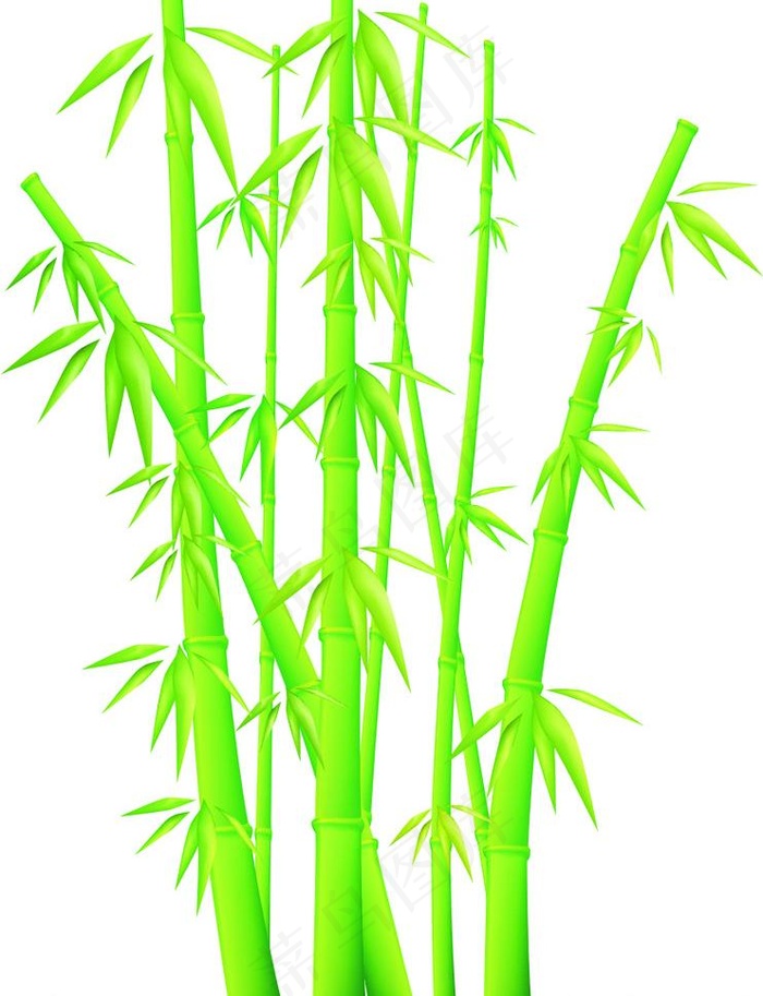 竹子矢量图