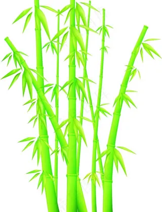 竹子矢量图