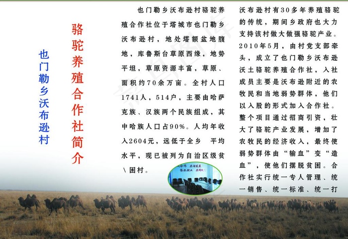 也门勒乡骆驼养殖合作社三折页图片psd模版下载