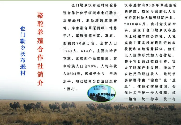 也门勒乡骆驼养殖合作社三折页图片psd模版下载