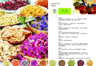 茶叶产品手册设计图片