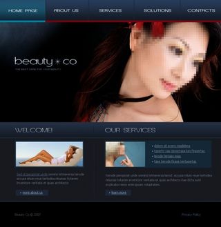 美丽网站设计首页