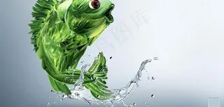 食品创意 鱼图片