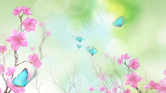 唯美蝴蝶飞舞无缝循环背景视频