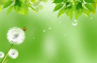 春天蒲公英蝴蝶素材下载