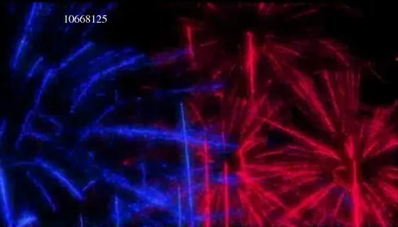 节日焰火高清视频素材