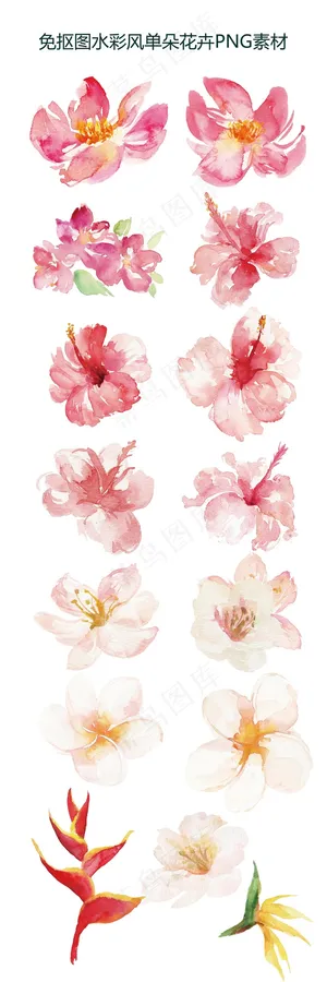 2017年免抠图水彩风动物植物水果...