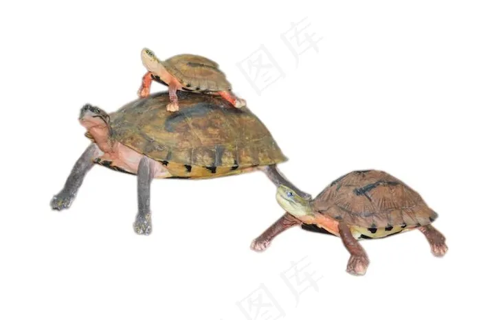 金钱龟免抠素材PSD分层psd模版下载