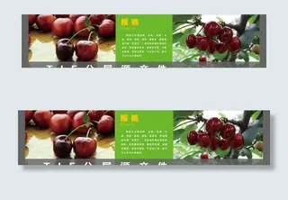 水果展板图片