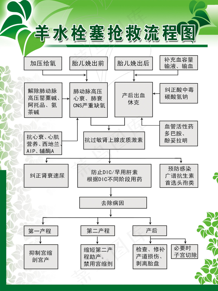 羊水栓塞抢救流程图