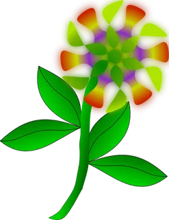 奇怪的花剪辑艺术 奇怪的花剪辑艺术