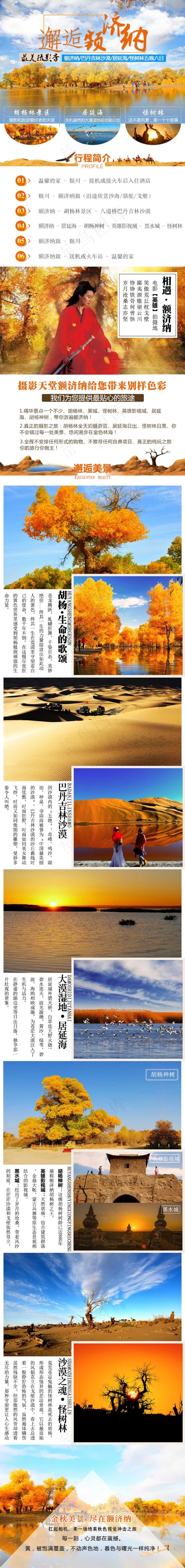 额济纳摄影之旅