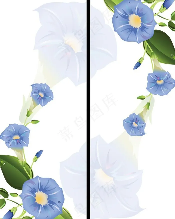 移门牵牛花
