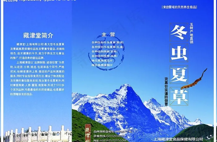 冬虫夏草三折页图片