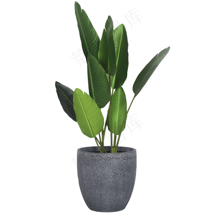 高清绿色植物花瓶盆栽免抠元素