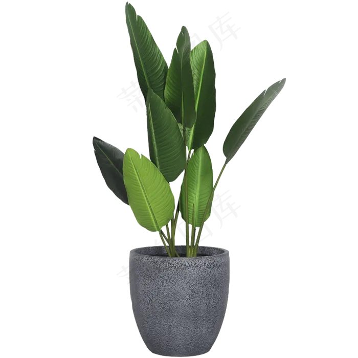 高清绿色植物花瓶盆栽免抠元素